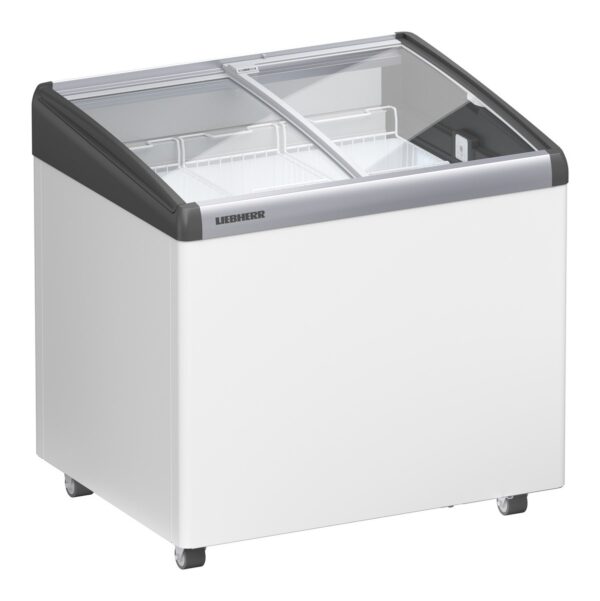EFI202153